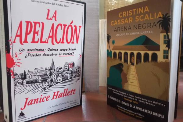 Novelas de referencia de Domingo Villar